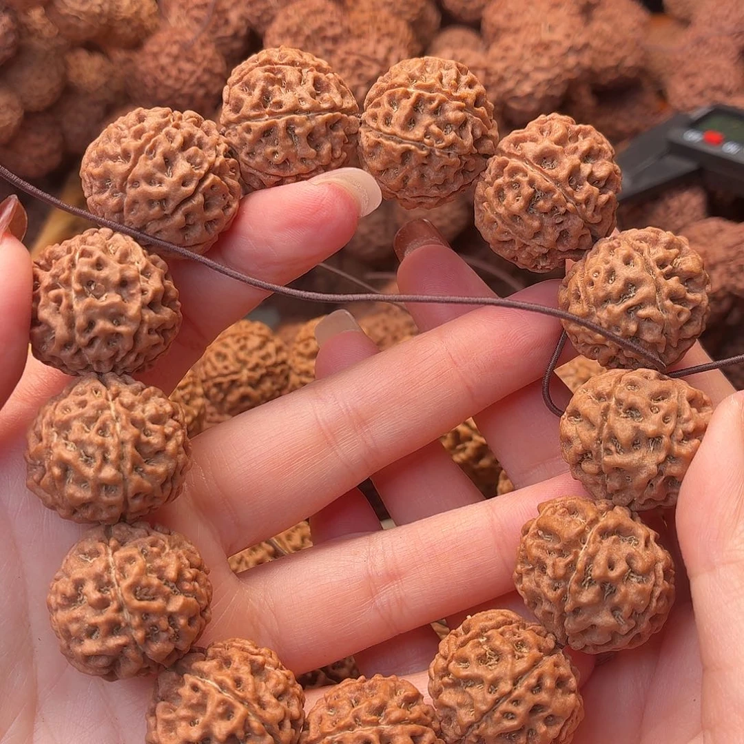 手串金刚菩提七瓣  23   37号