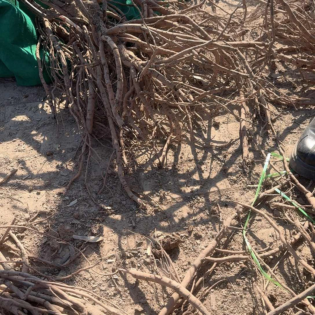 完全开放11111111111111