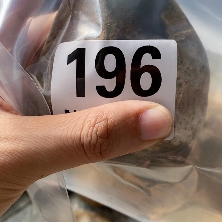 ig gu d y fu gu gu fu fu