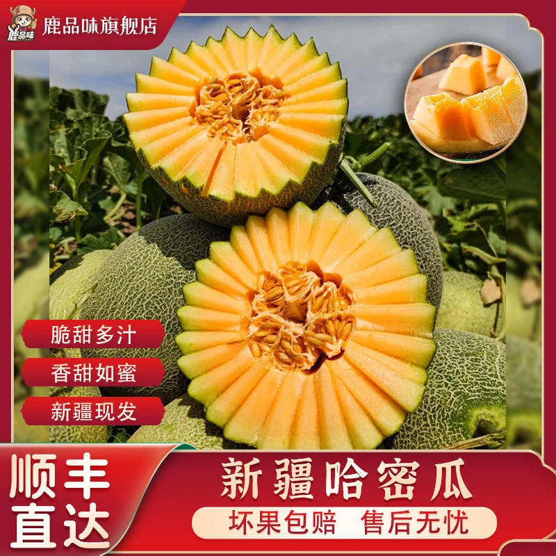 鹿品味正宗新疆吐鲁番哈密瓜西州蜜脆甜爽口多汁新鲜应季水果顺丰