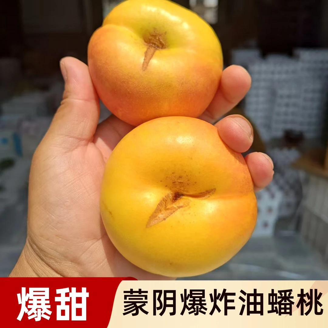 【京东包邮】助农裂口彩虹油蟠桃新鲜应季水果皮薄肉厚多汁口感好