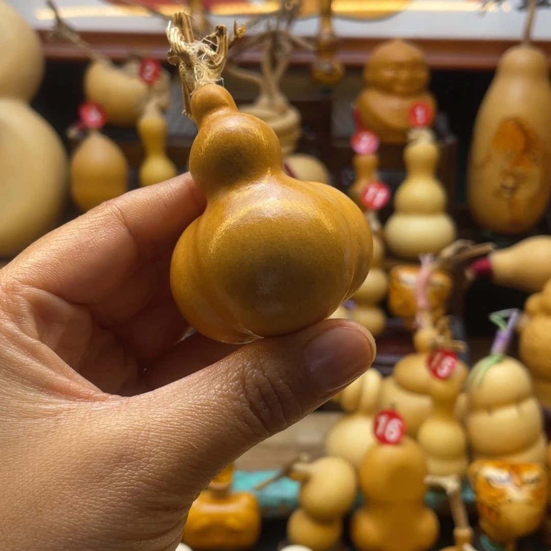 鲨**鱼葫芦等多种颜色的花鸟画作品被