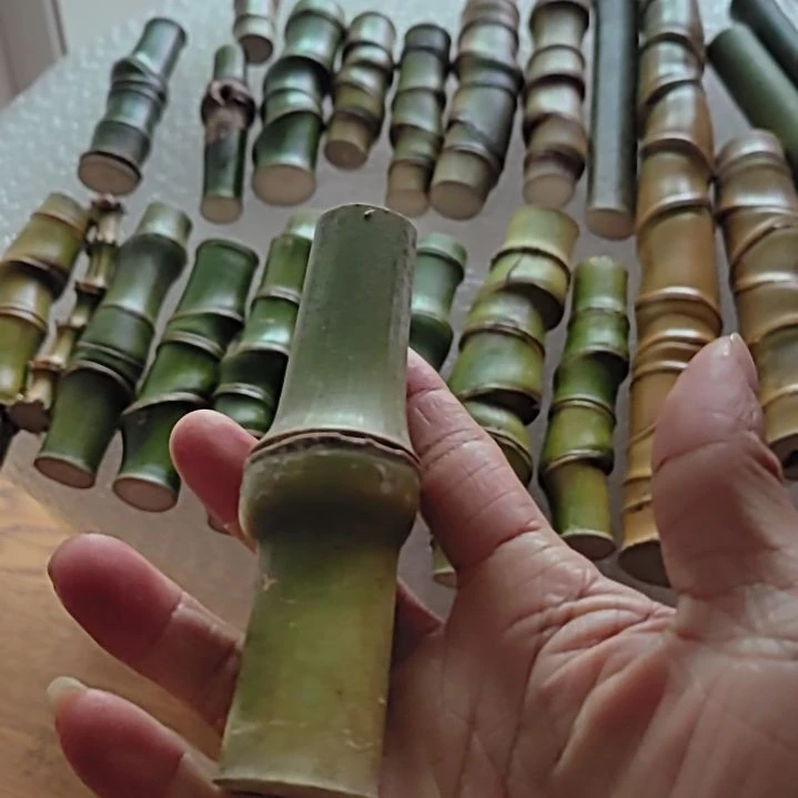 点***格大部分开放少量花苞