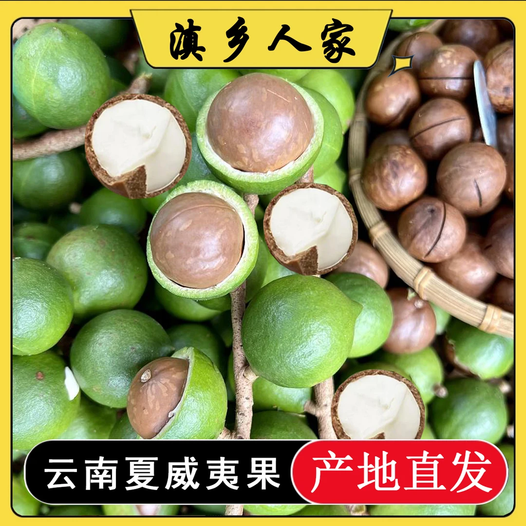 2025新鲜夏威夷果现摘现发青皮果2斤/5斤 清甜清香奶香味孕妇坚果