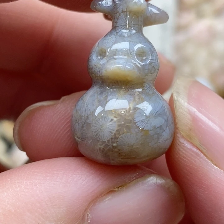 颈饰未镶嵌硅化珊瑚（珊瑚玉）小