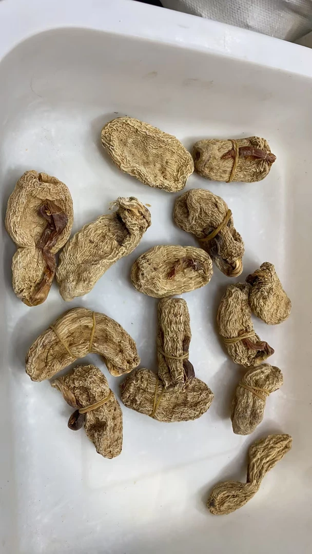 正宗小草坝野生天麻