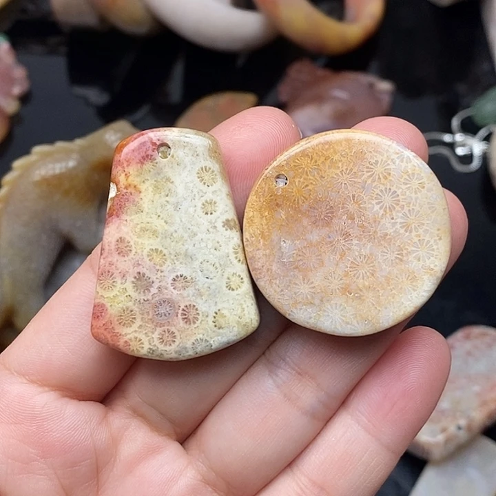 硅化玉未镶嵌颈饰