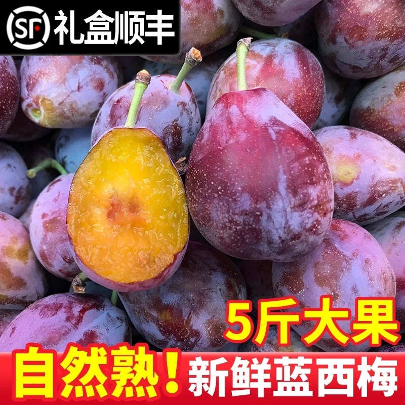 正宗蓝蜜法兰西水果西梅现货西梅新鲜当季甜李子