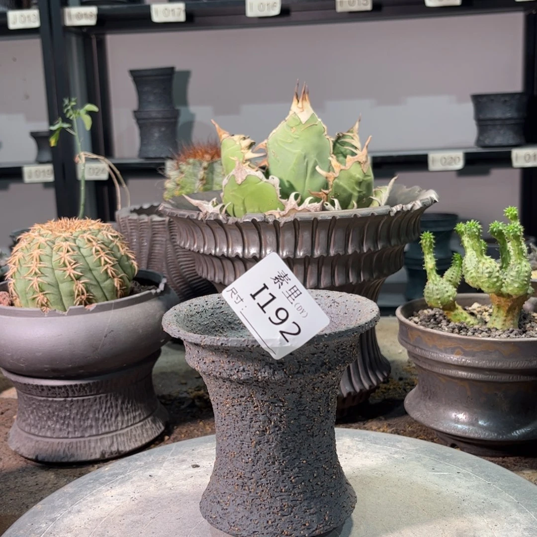 景德镇手工素里内口10.5高11