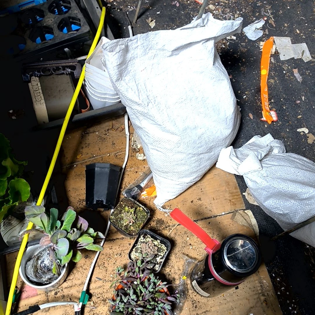 满6元包邮，多肉土一包