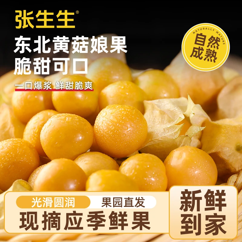 东北特产小姑娘果当季灯笼果时令水果黄菇娘甜菇娘小金豆产地现货