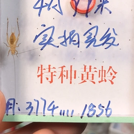 用***6蟋蟀生生世世生生世世生生世世谁谁