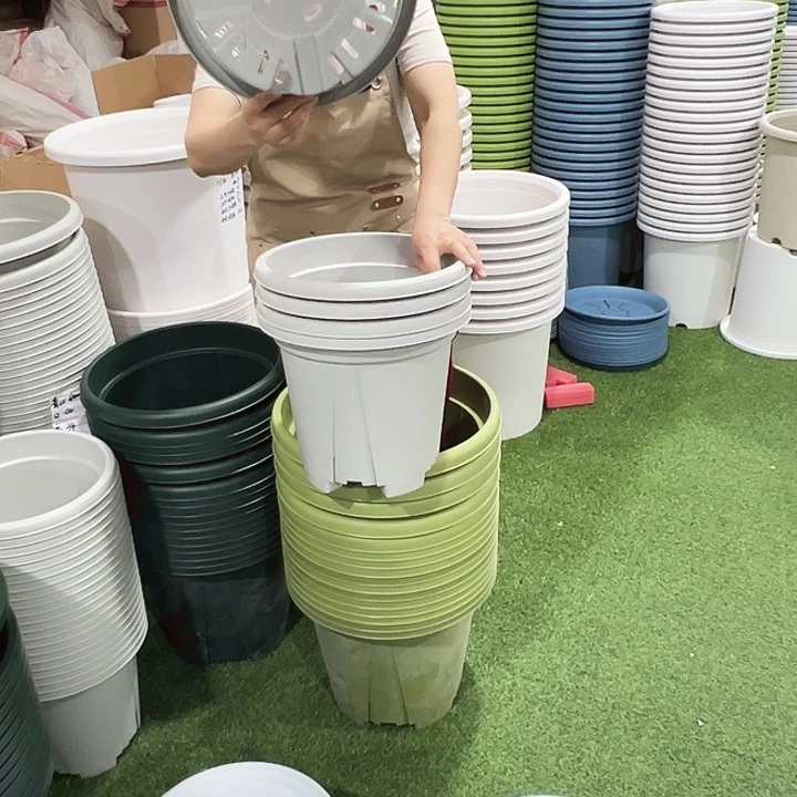 青山盆口32高38灰色无托5只