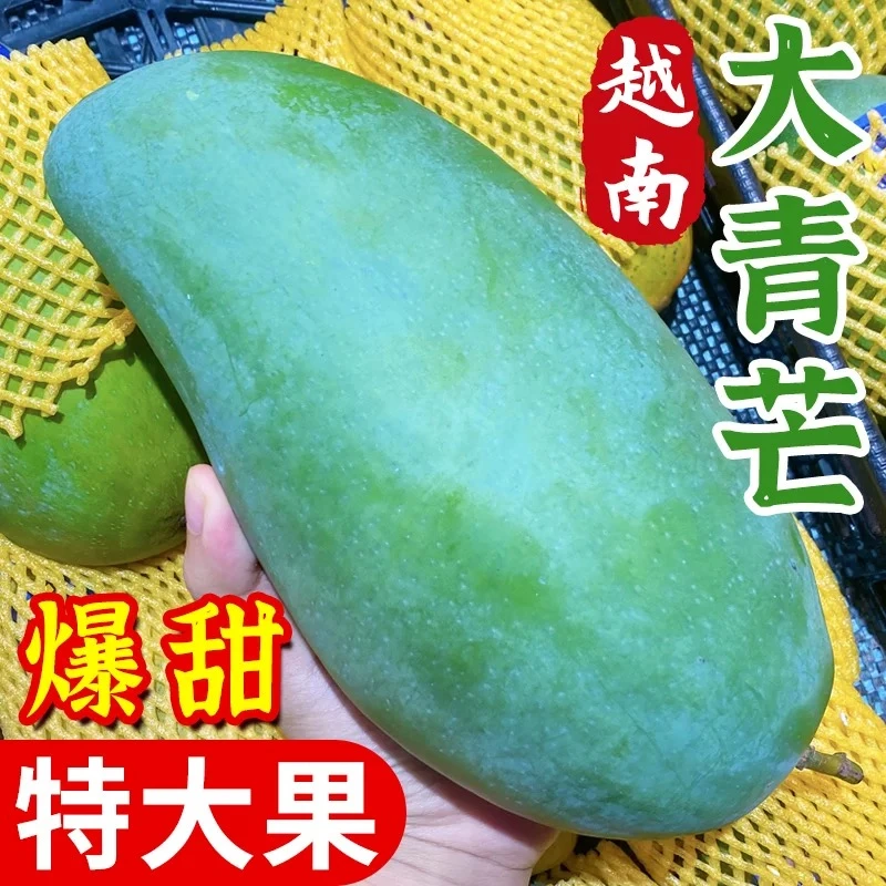 正宗越南大青芒当季新鲜热带水果带箱5-9斤