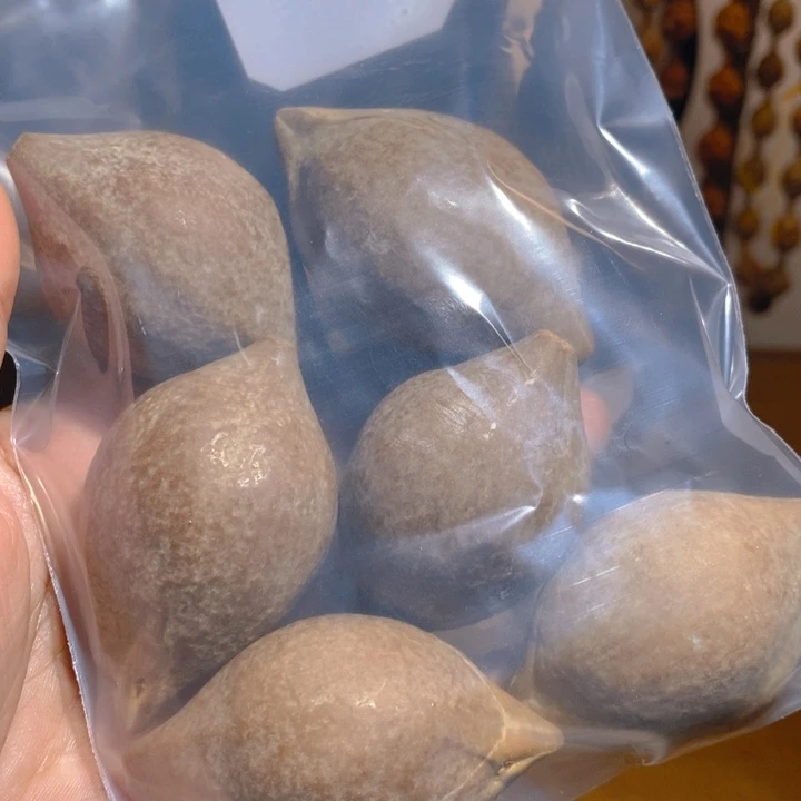 野生巴西大橄榄核把件6颗