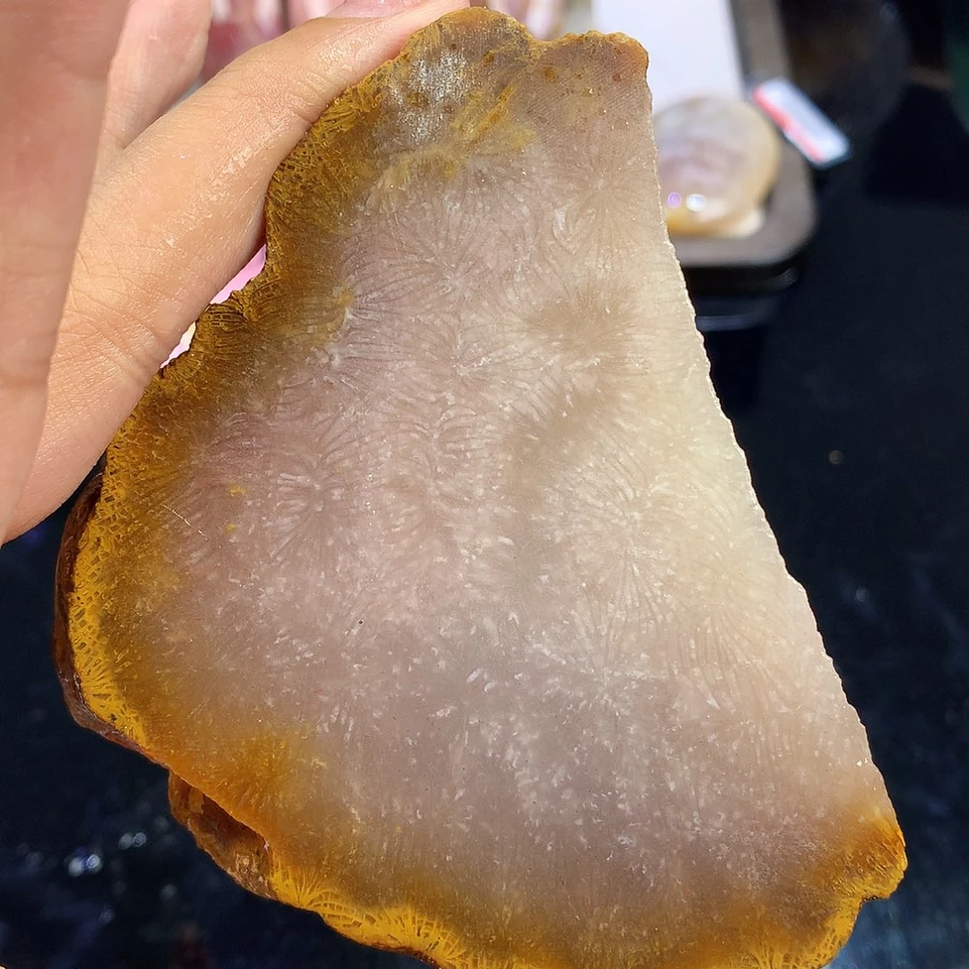 硅化珊瑚（珊瑚玉）未镶嵌吊坠(赠链)27号 冰凤尾