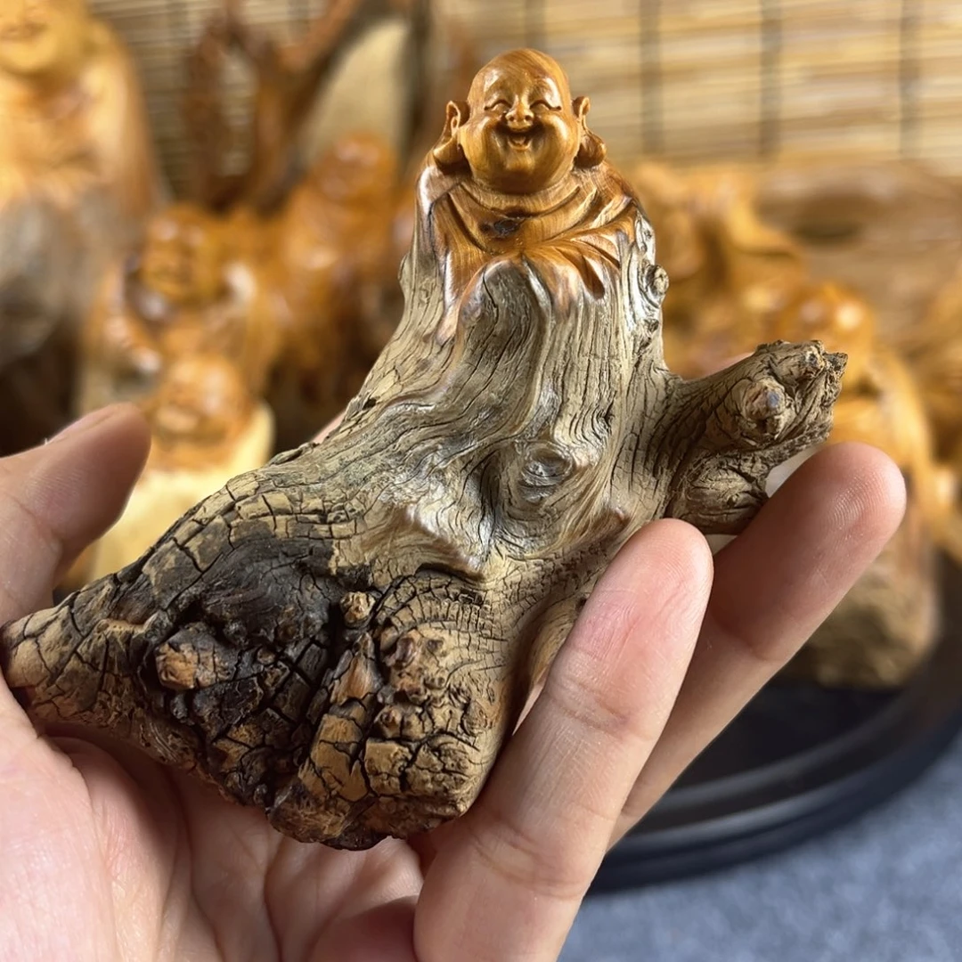 柏木崖柏崖柏崖柏
