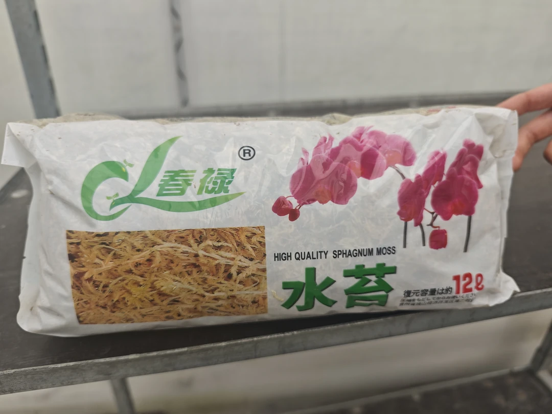 【水苔】蝴蝶兰植料养花一包12升(约130克)有少量苔藓兰花干水苔