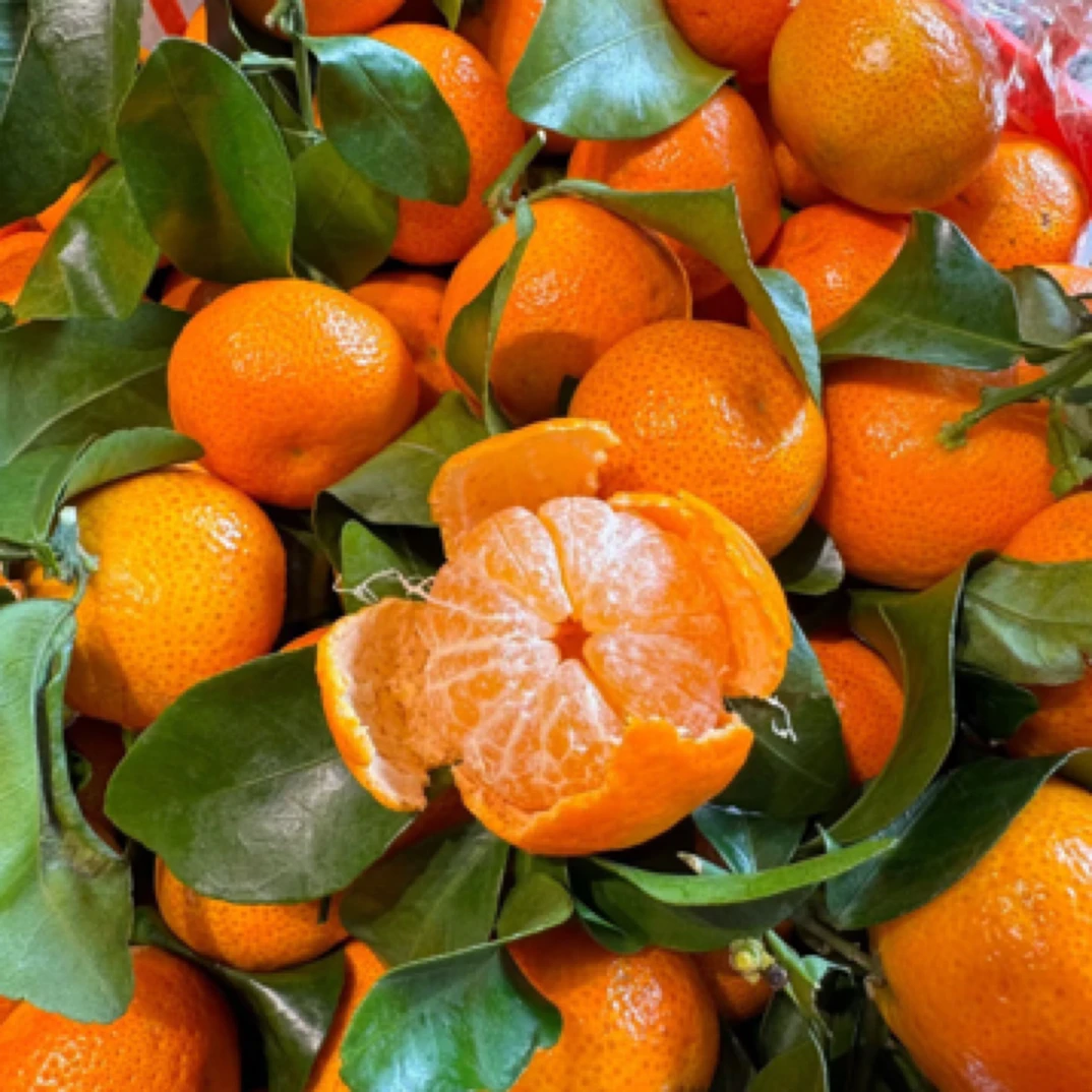 正宗广西砂糖一盆橘净重5斤装