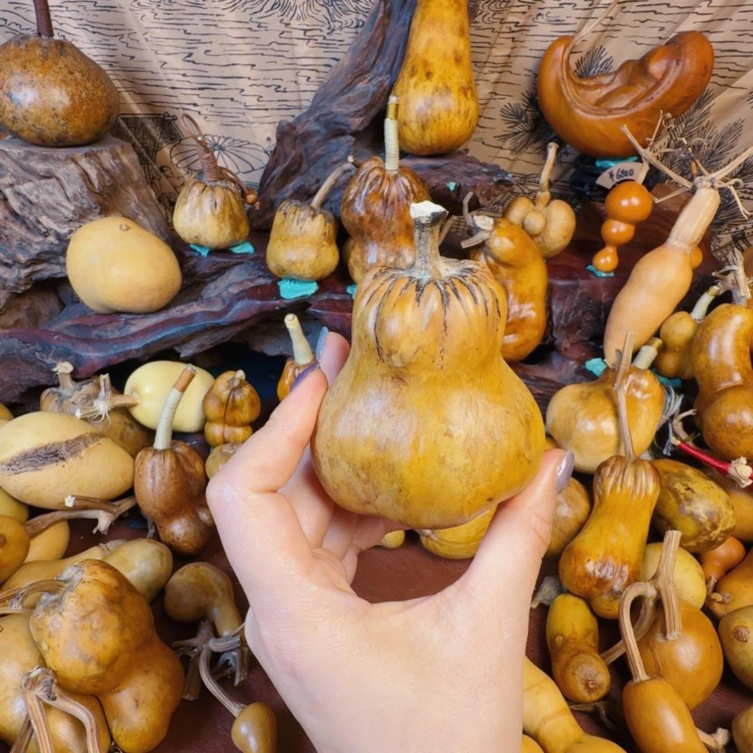 南***询惺惺相惜吃吃吃徐成vv宝贝