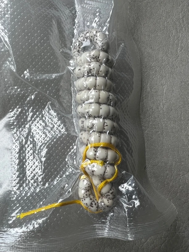 海南原生态星月菩提原白大肠140颗籽6mm（高货）