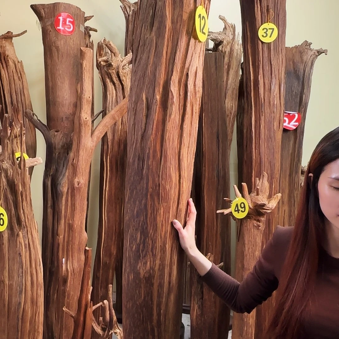 晓***强沉香碎屑沉香天然沉香原材料香料熏料