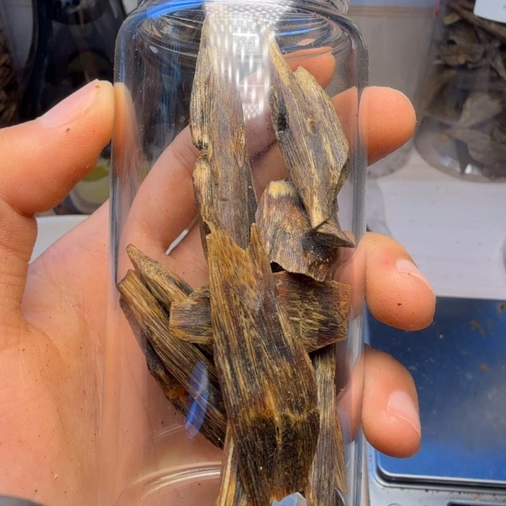 沉香碎屑沉香用****1海南白棋树心油老料21克