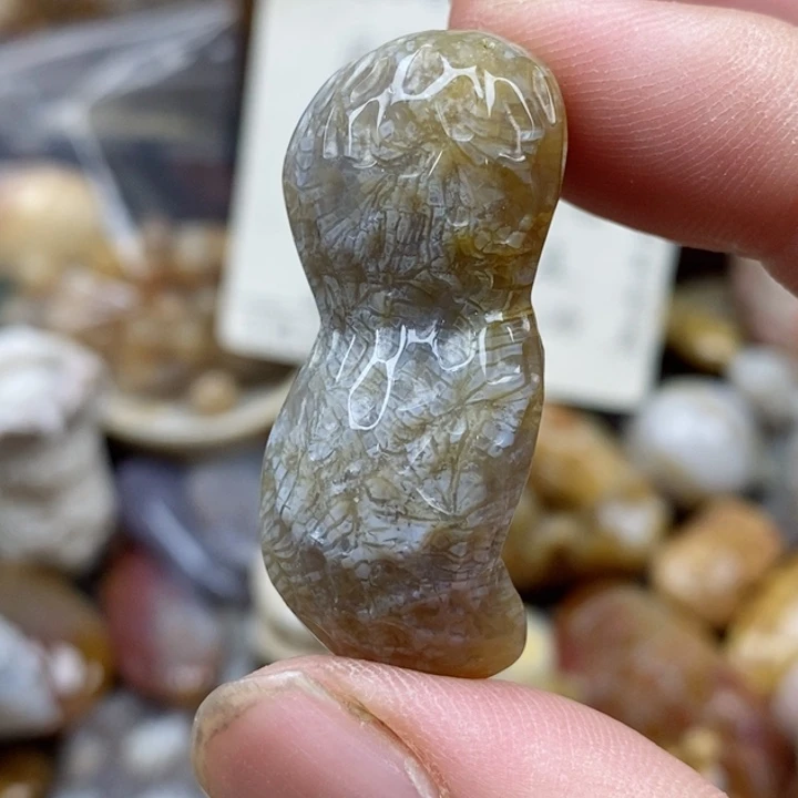 硅化珊瑚（珊瑚玉）未镶嵌颈饰