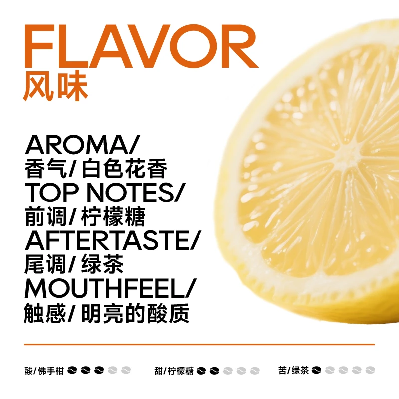 【新产季】耶加雪菲 74112 果丁丁 慢速干燥水洗 精品咖啡豆