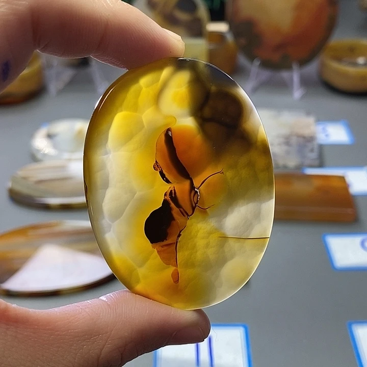 玛瑙/玉髓未镶嵌珠宝半成品124