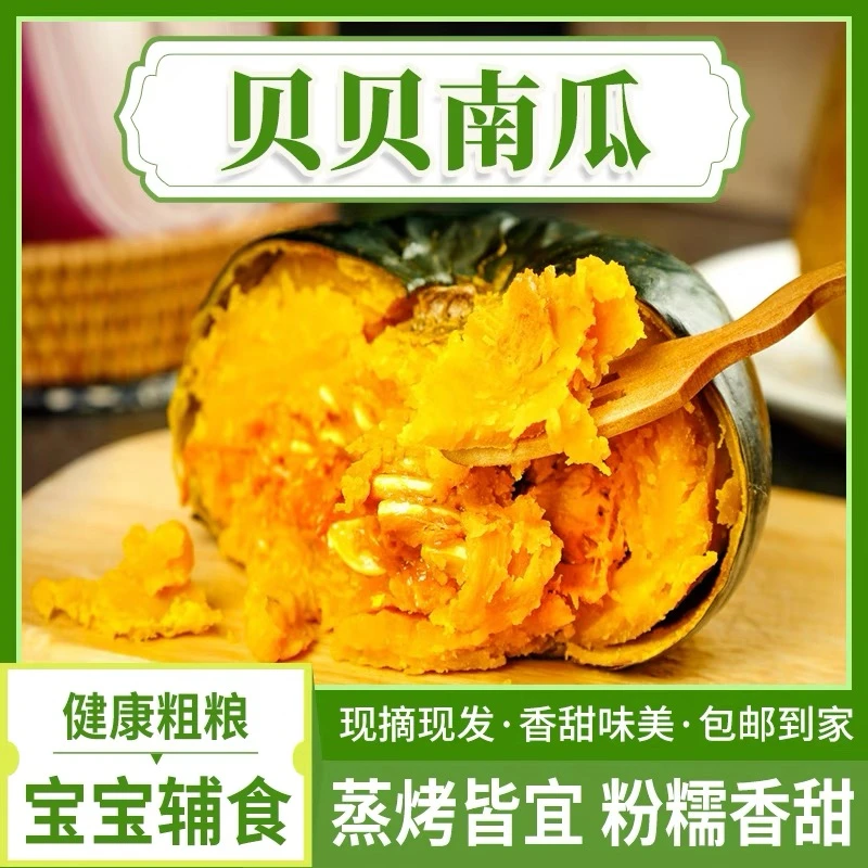 【新鲜现摘】正宗贝贝南瓜板栗味小南瓜包粉糯宝宝辅食源头产地发货