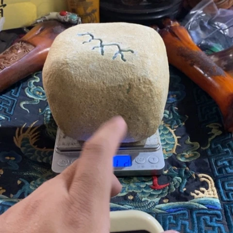 大哥专拍链接一号