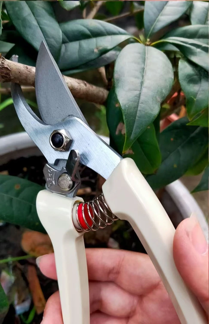 家用果树花卉修枝神器可摘果的园林园艺专用剪刀剪枝多功能