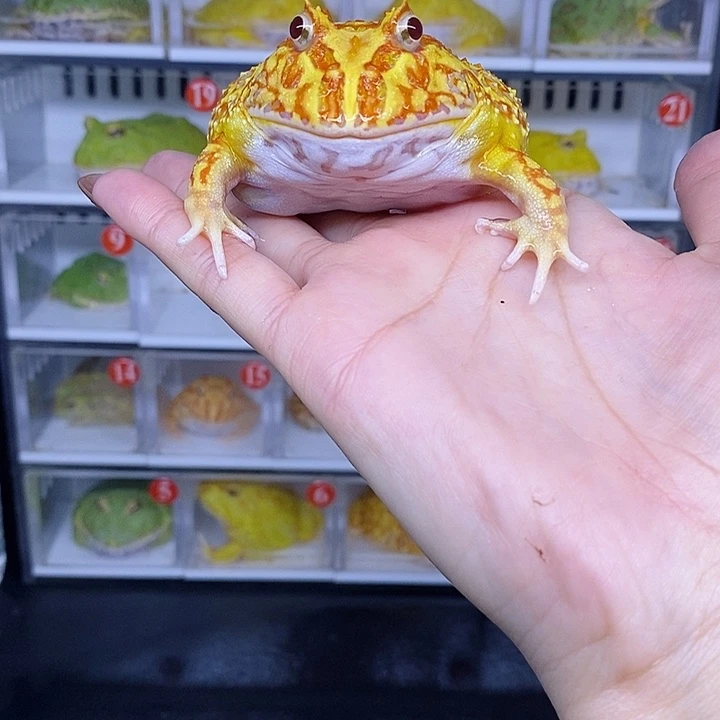 特价秒杀现货特价