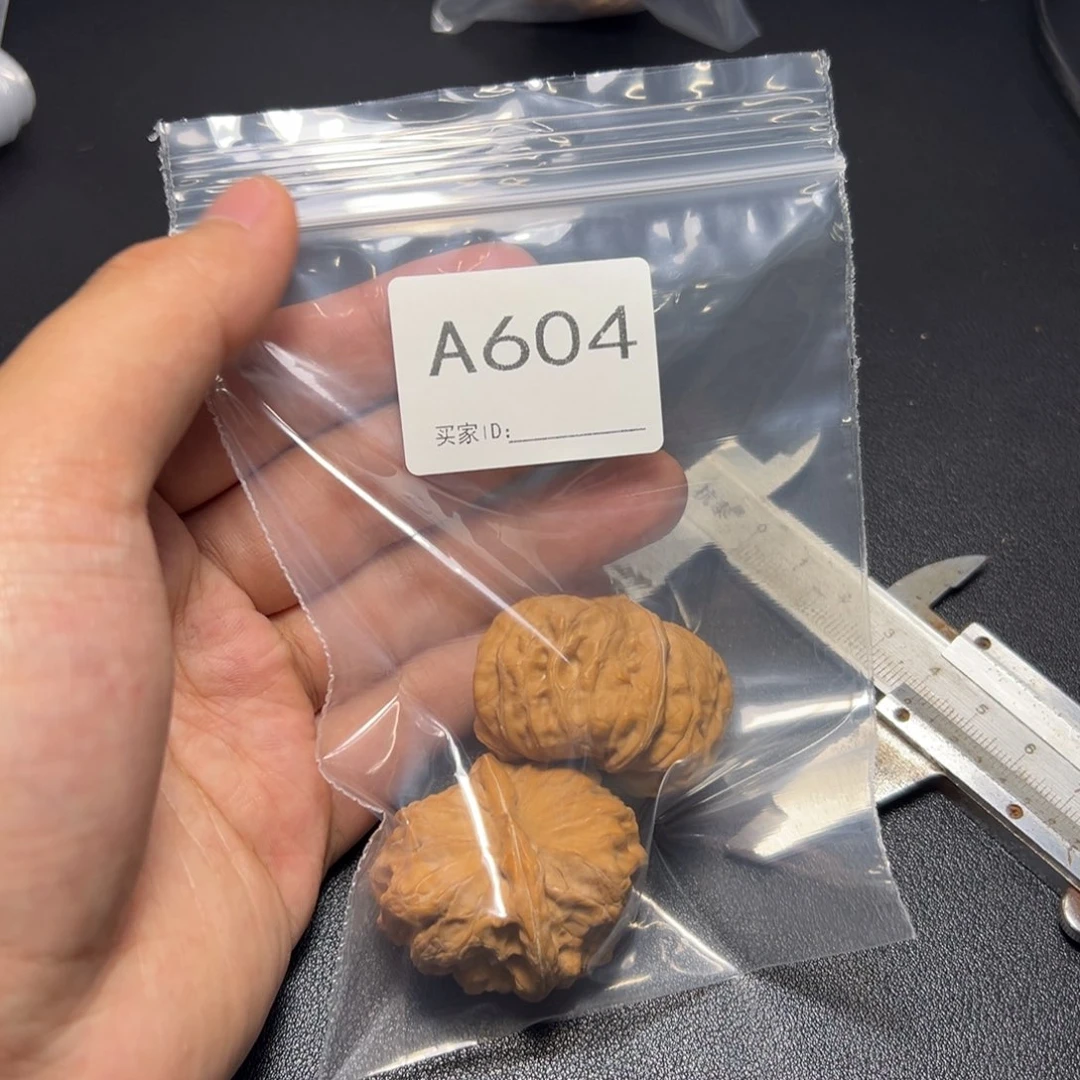 核桃哈哈哈哈我的小