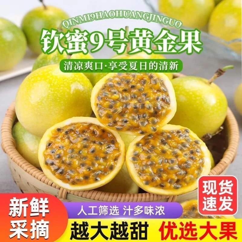 C6【百香果17个】广西正宗钦蜜9号黄金百香果新鲜水果(送开果器)