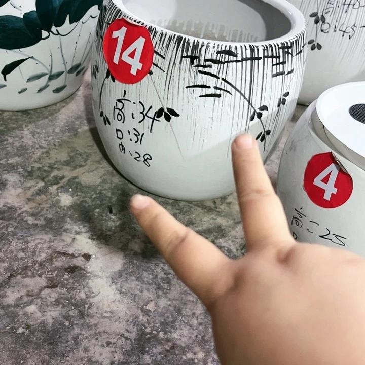 陶瓷陶瓷大花盆1