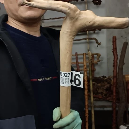 t***n香榧木高山 檬子木文玩料