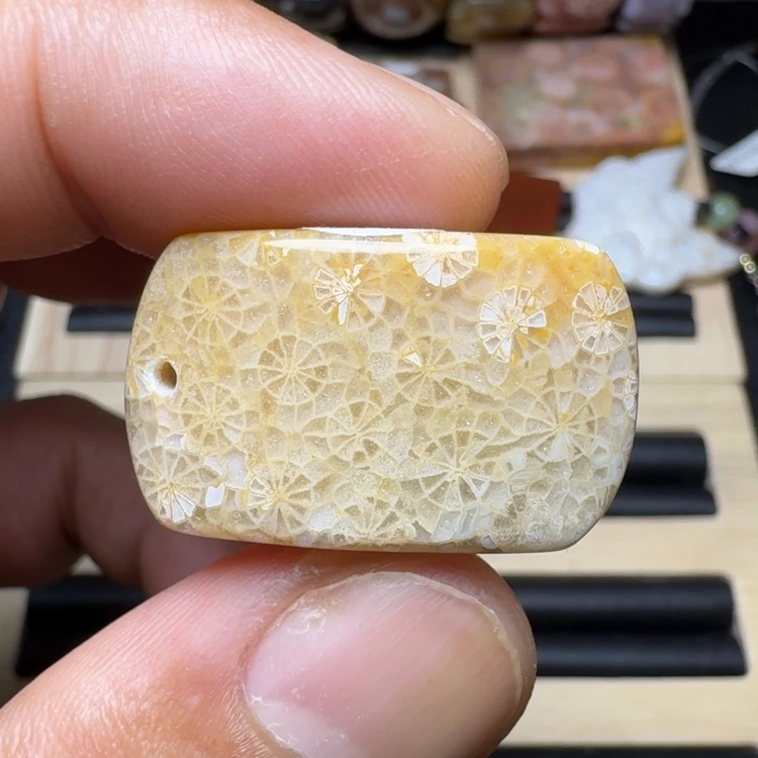 未镶嵌纯天然色有机玉石保真色硅化玉