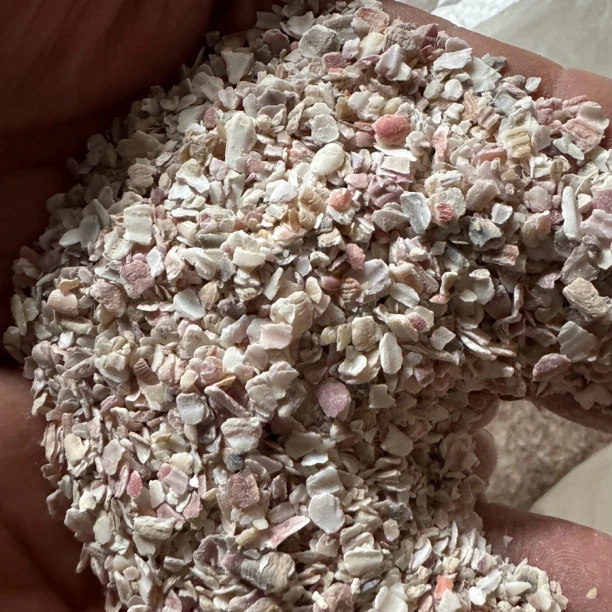 高钙贝壳粉细颗粒幼鸽种鸽信鸽肉鸽补钙佳品