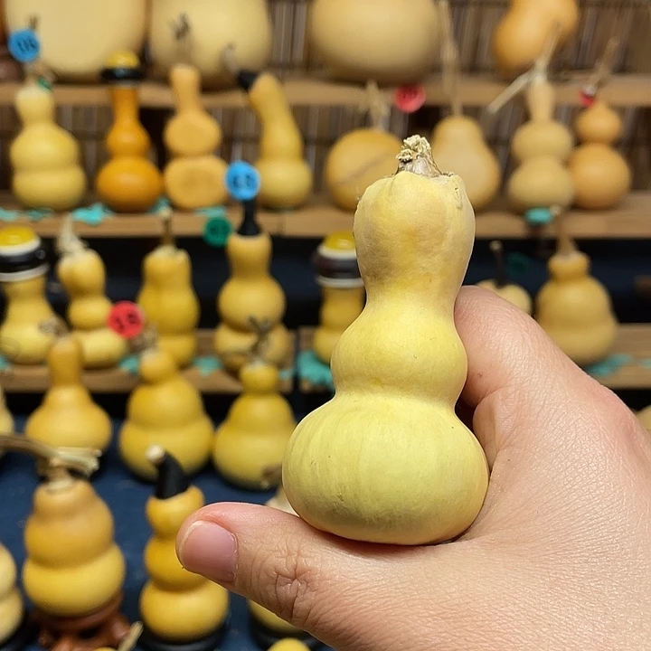 常***弟11111111111111111111111