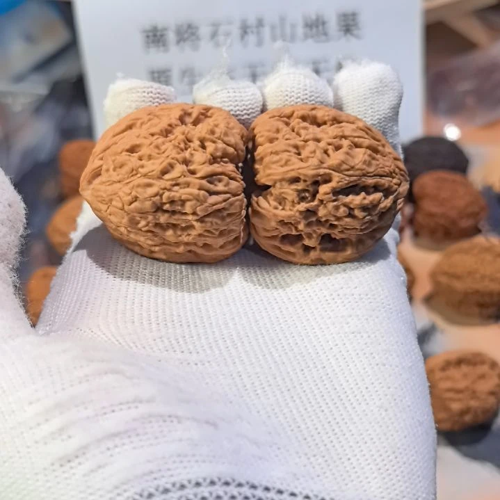 林***z涛子南将石直播拍
