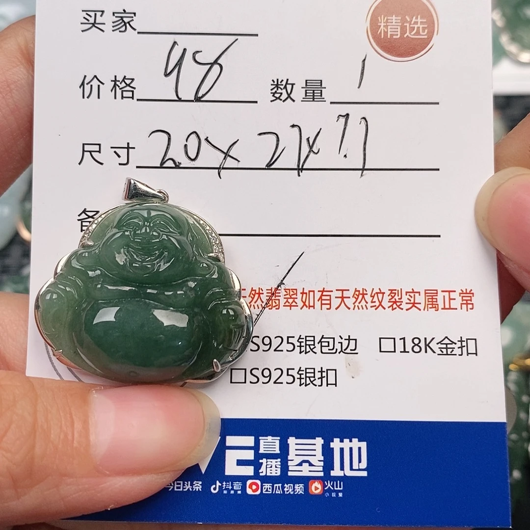 翡翠银S925镶嵌颈饰