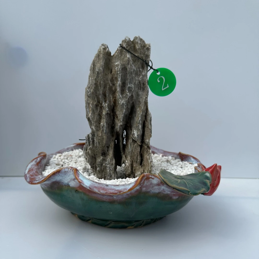 创意盆栽微景观办公室桌面盆景英石青龙石太湖石鱼缸造景附石