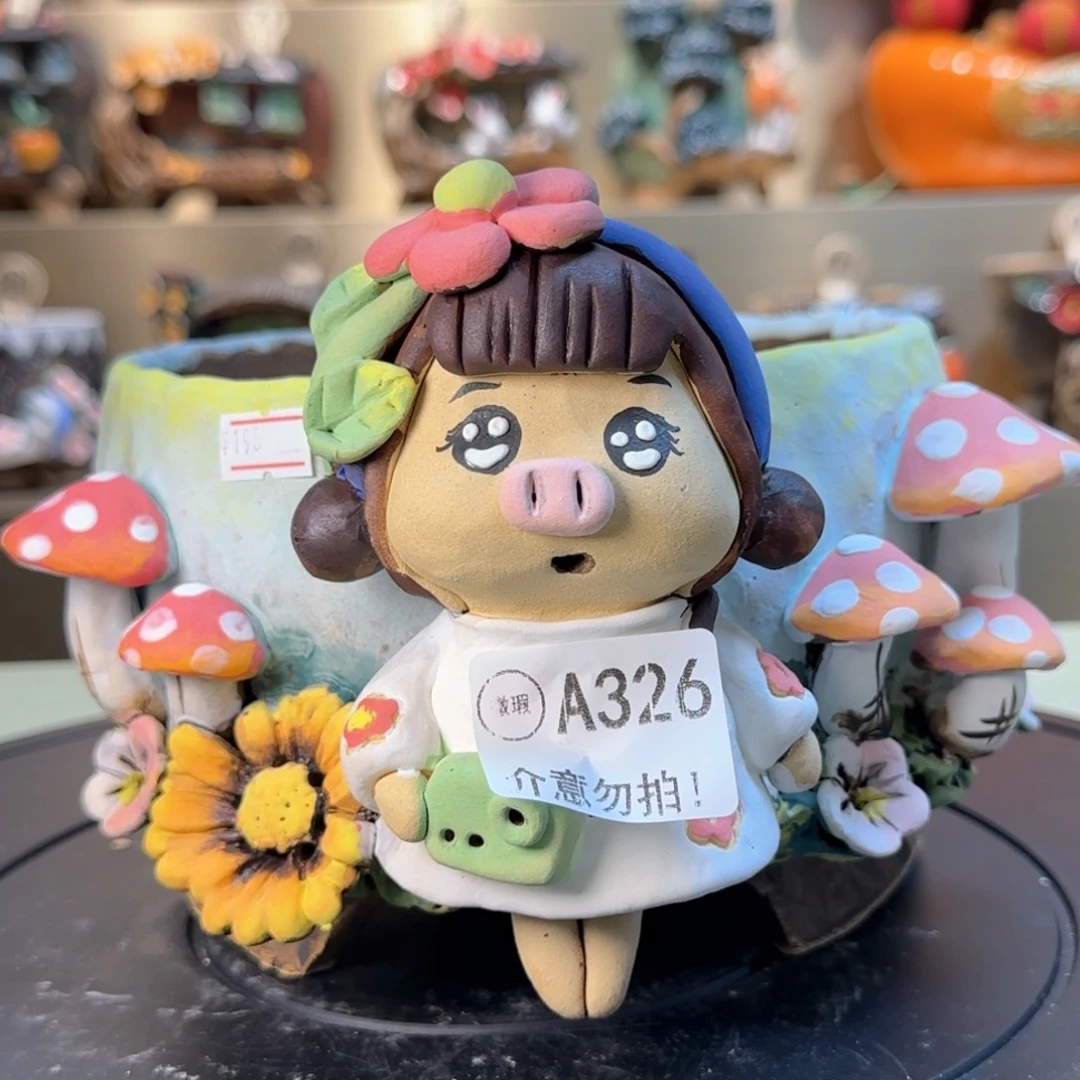 A326【闪购】多肉花盆