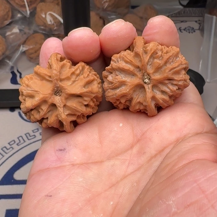 把件桃核山地苹果园38尺18