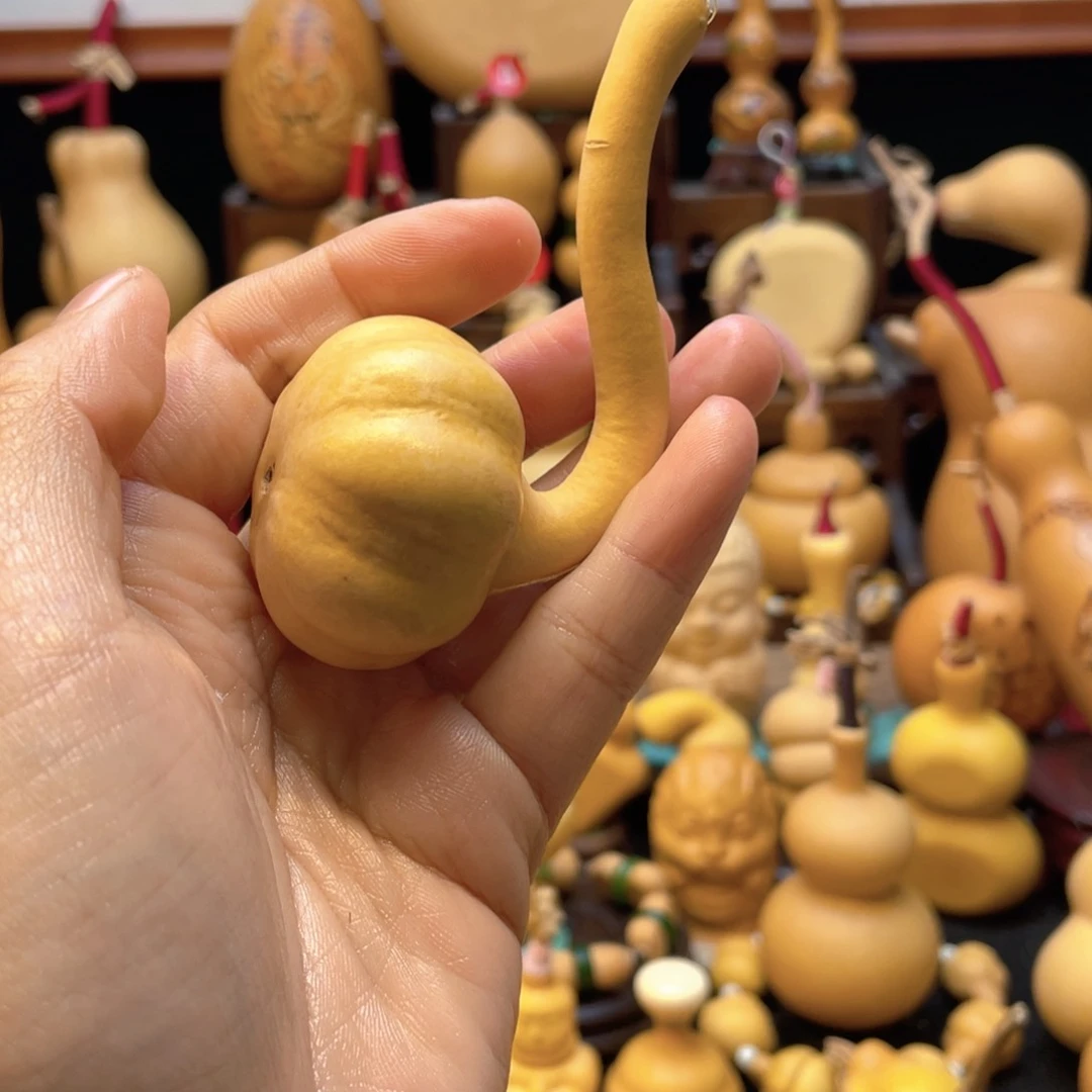 ✨****龙大自然的秘密是什么啊哈哈哈