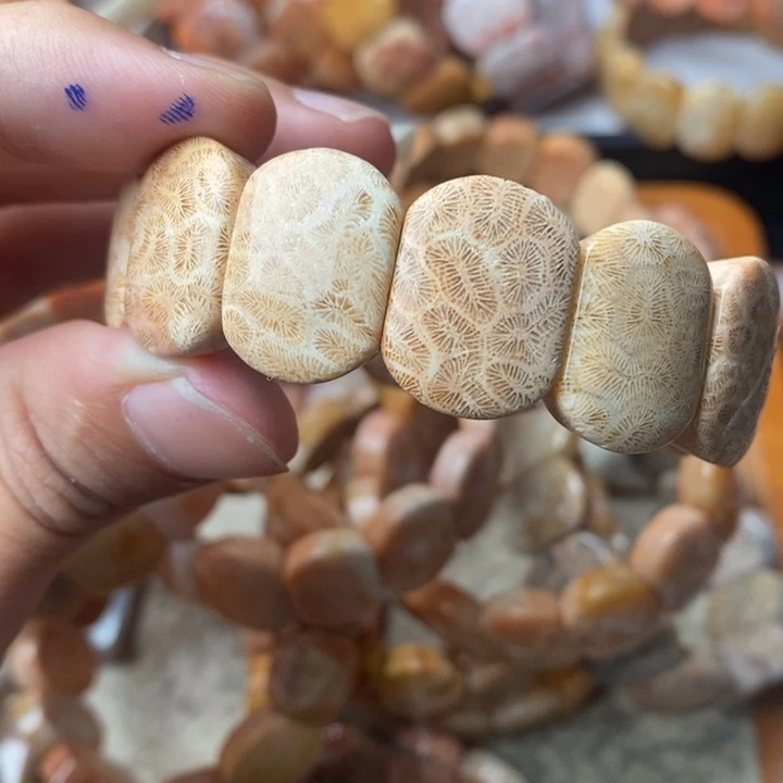 五***鱼颈饰未镶嵌硅化珊瑚（珊瑚玉）