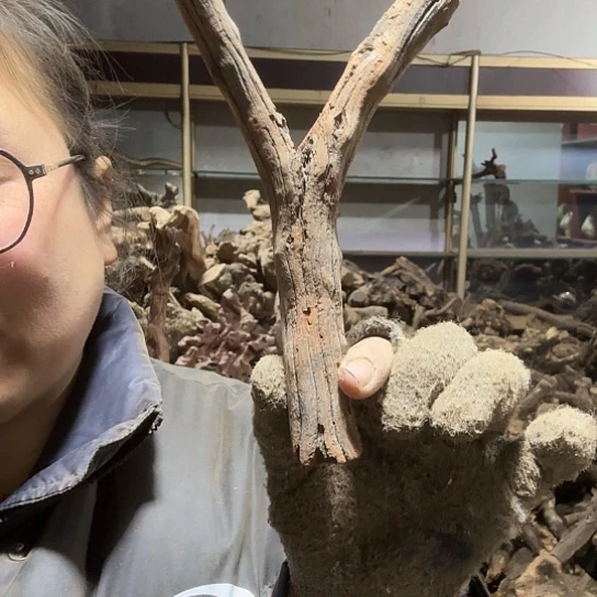 香榧木行****时火琉璃的毛料摆件