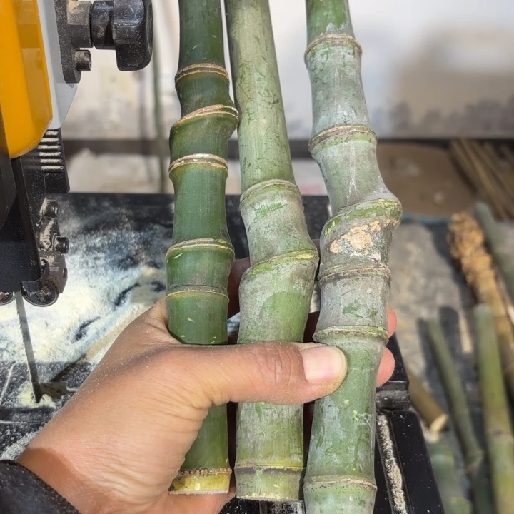 竹@*实心竹竹竹竹竹竹竹竹